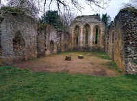 Waverley Abbey 1092559 Image 7